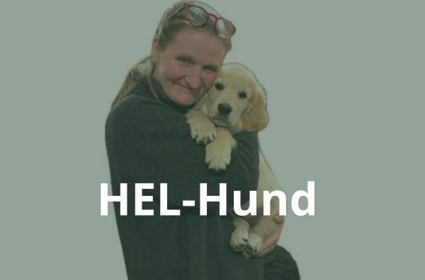 HEL-hund